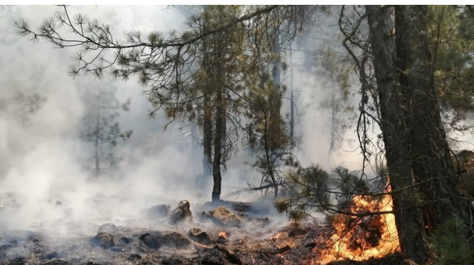 В Габале продолжается пожар в горной местности