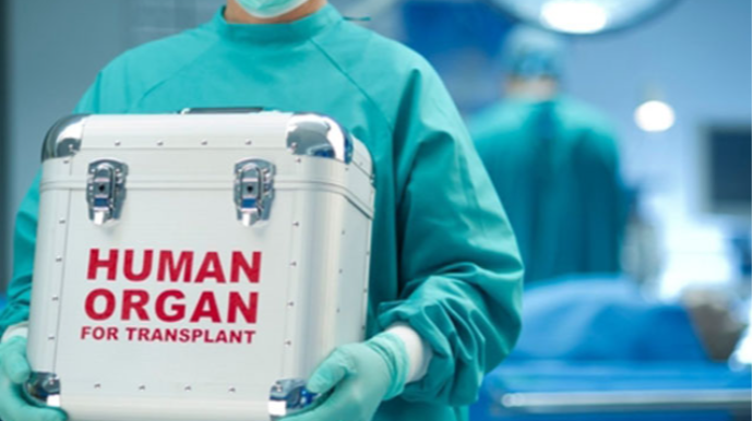 Baş nazirdən sümük iliyi transplantasiyası ilə bağlı QƏRAR