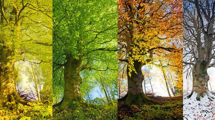 Астрофизики Азербайджана объявили, когда наступят весна, лето, осень и зима в 2026 году