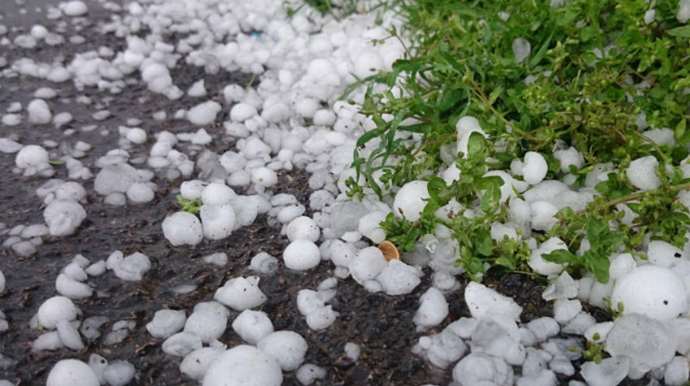 Gədəbəy və Şamaxıya dolu yağıb