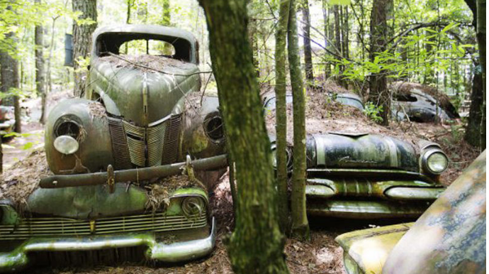 Ən böyük əntiq maşınlar  məzarlığı  - FOTO