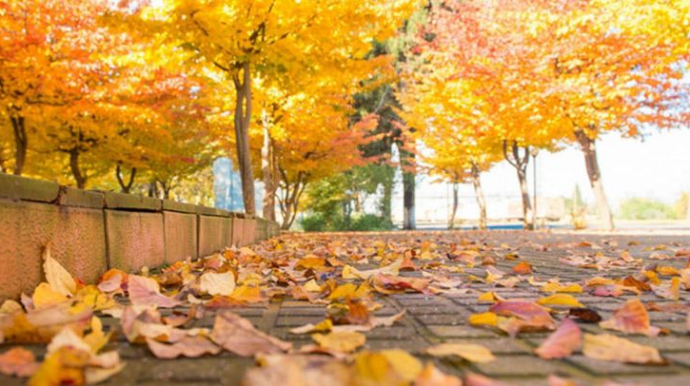 Şənbə günü hava necə olacaq?