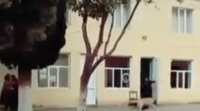 Goranboyda xadiməni it dişlədi 