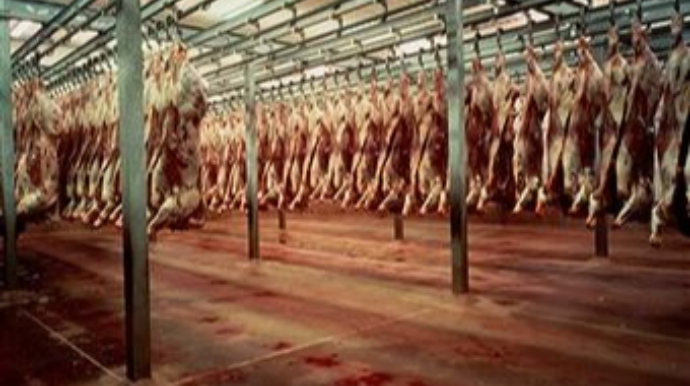 Çin 23 xarici müəssisədən ət məhsulları idxalını dayandırıb