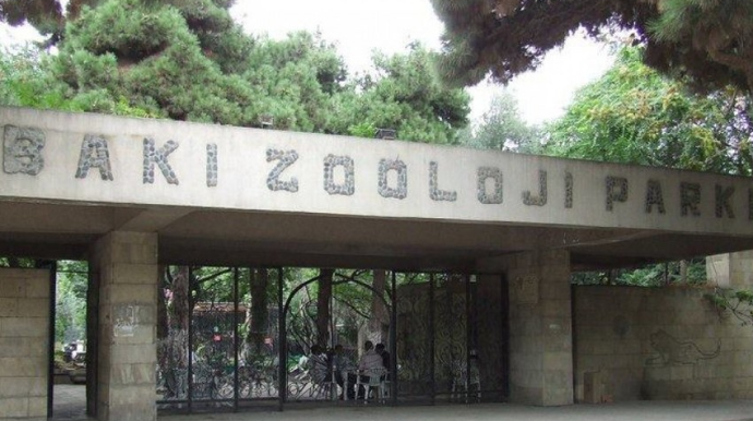 Bakı Zooloji parkında işlər yekunlaşır