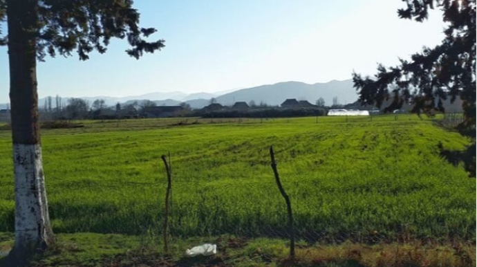 Bələdiyyələrə bu halda torpaq sahəsi ayrılacaq 