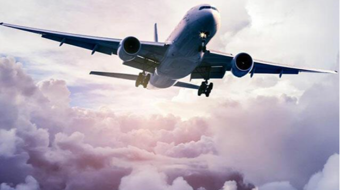 Təyyarədə kütləvi dava:  Yumruq atan kim, təpik atan kim... - VİDEO 