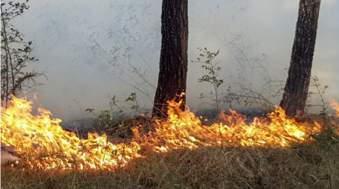 Lerikdə dağlıq ərazidə yanğının söndürülməsinə helikopter cəlb olunub