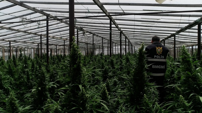 Bakıda polis 15 tondan artıq narkotik vasitəni dövriyyədən çıxardı  - FOTO - VİDEO