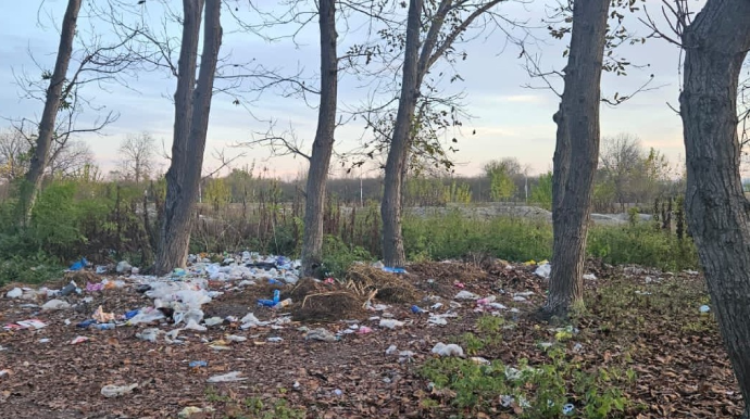 Qaxda bələdiyyə sədri cərimələndi - FOTO 