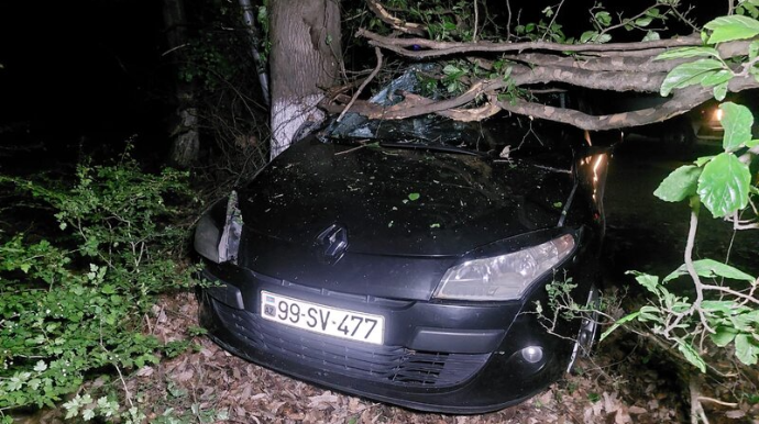 Lənkəranda avtomobil ağaca çırpıldı - Ölən və yaralanan var - FOTOLAR 