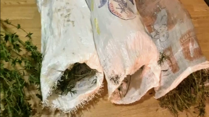 Salyan sakinlərindən 15 kiloqram narkotik götürülüb  - FOTO