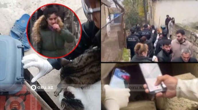Azərbaycanda DƏHŞƏT:  Qadın pul yığmaq üçün pişiklərə işgəncə verirmiş - İDDİA - FOTO - VİDEO 
