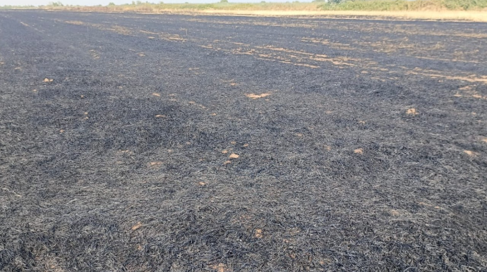 Beyləqanda yanğına səbəb olan şəxs məsuliyyətə cəlb olundu