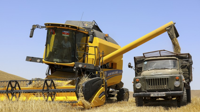 Dağlıq ərazilərdə taxıl biçini prosesinə 20 ədəd dağ kombaynı cəlb edilib  - FOTO