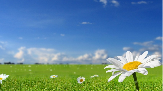 Sabahın hava proqnozu açıqlanıb