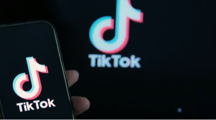Скандал с участием отца в TikTok привёл к увольнению дочери экс-замглавы ИВ Физулинского района - ФОТО