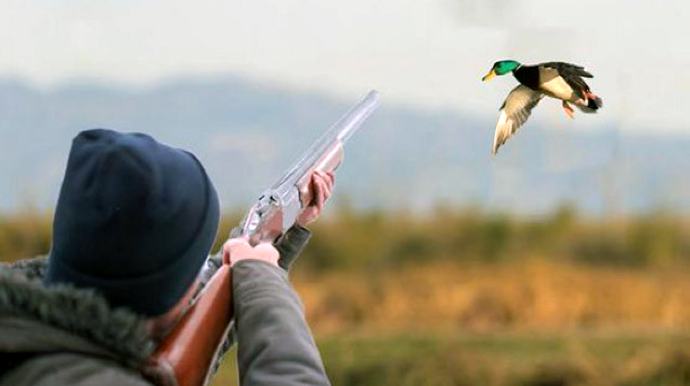 Şabranda qanunsuz ov edən şəxs saxlanılıb