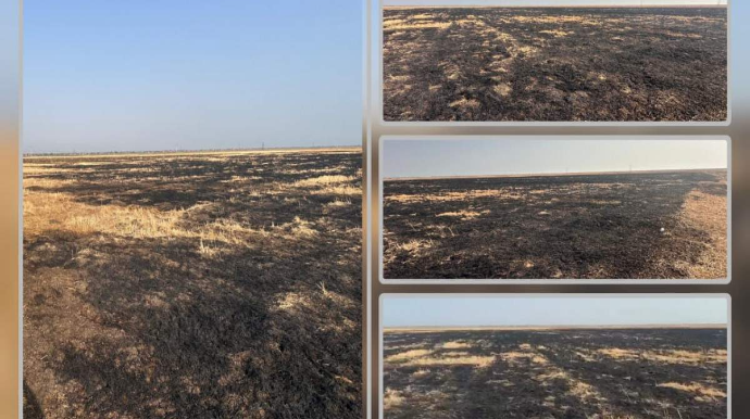 Cəlilabadda yanğın törədən şəxs məsuliyyətə cəlb edilib - FOTO 