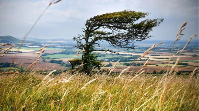 Küləklə bağlı - Xəbərdarlıq