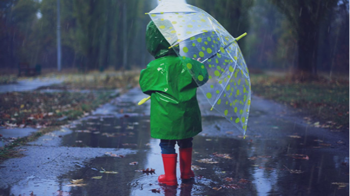 В некоторых районах шли ливни с грозами - ФАКТИЧЕСКАЯ ПОГОДА 