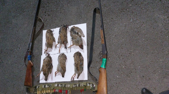 “Qırmızı kitab”a düşmüş quşları ovlayan şəxslər tutulub 