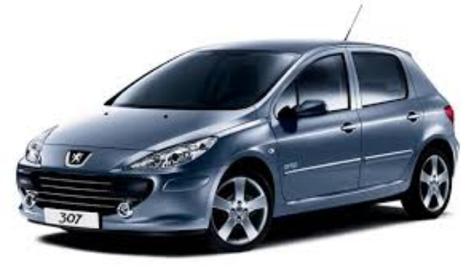 Peugeot 307  проедет 1 миллион километров