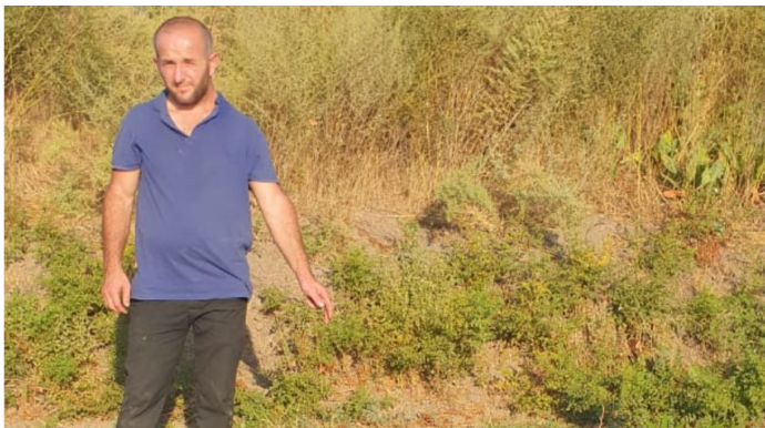 Narkotik bitkilərin kultivasiyası ilə məşğul olan şəxs "iş başında" saxlanılıb - FOTO