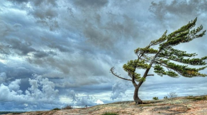 В Азербайджане объявили оранжевое предупреждение в связи с ожидаемым сильным ветром 