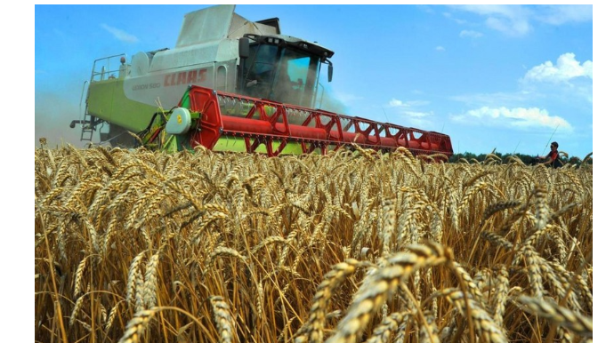 Müharibə bu məhsulların qiymətini kəskin artırdı - VİDEO 