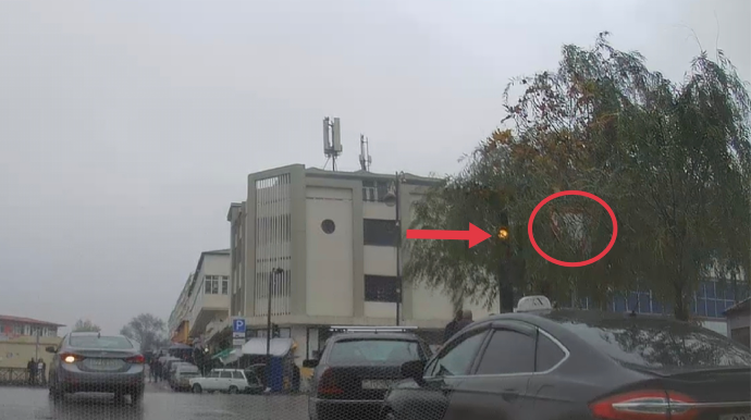 Ağacın arxasında görünməz qalan svetofor və nişan sürücülərə təhlükə yaradır - VİDEO