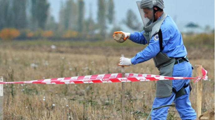 İndiyədək minaya düşüb həlak olanların sayı açıqlandı