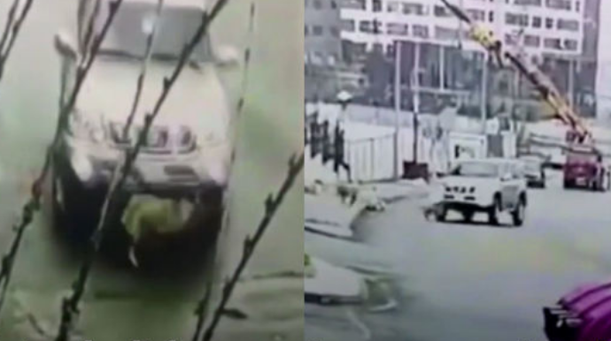 Sürücü maşını qəsdən sahibsiz itlərin üzərinə sürdü - VİDEO 