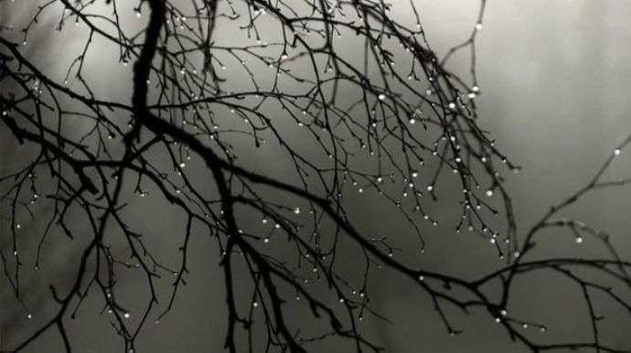 Azərbaycanda müşahidə olunan faktiki hava açıqlandı