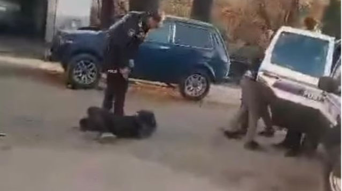 Qəbələdə polislə gənclər arasında dava düşdü, polis işdən qovuldu   - FOTO