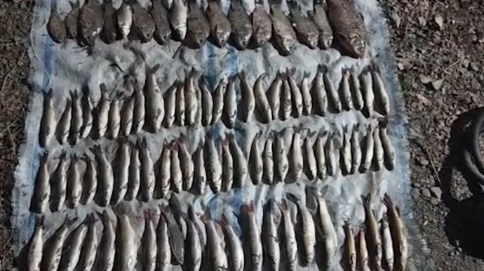 Elektrik avadanlığından istifadə ilə qanunsuz balıq ovlayan tutulub   - FOTO