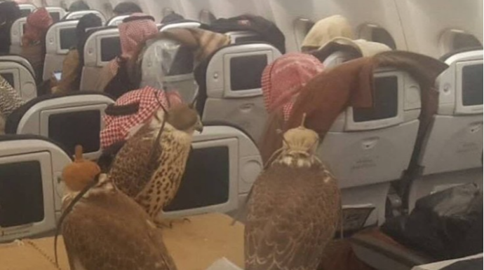 Şahzadə təyyarədəki 80 yeri quşları üçün aldı - FOTO