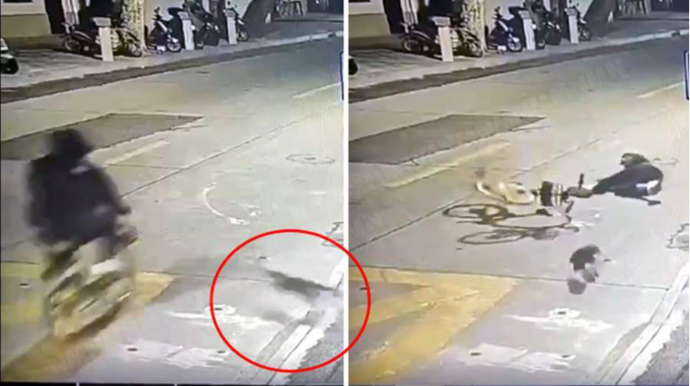 Pişiklə toqquşan velosipedçinin burnu sındı - VİDEO 