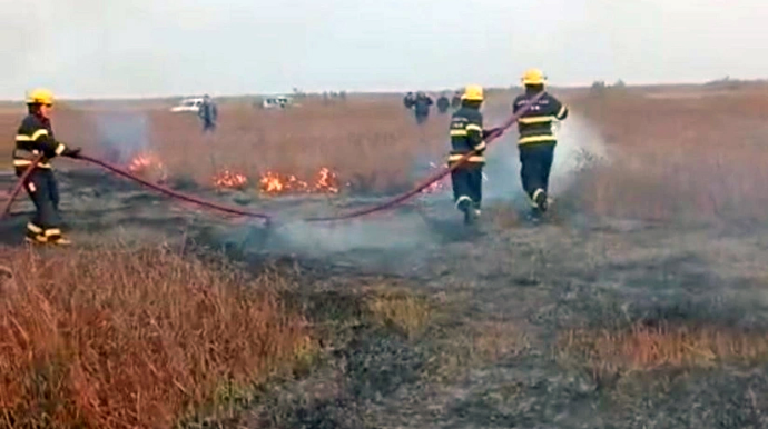 Cəlilabadda yanğın baş verib, 5 hektar ərazi yanıb - VİDEO 