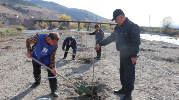 Laçında ağacəkmə aksiyası keçirildi - Fotolar 