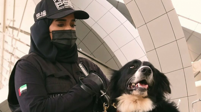 Aeroportda COVID-19 xəstələrinin aşkarlanması üçün itlərdən istifadə edilir