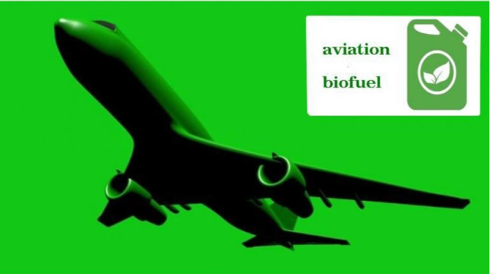 İspaniyada 200-dən çox təyyarə bioyanacaqla uçacaq 