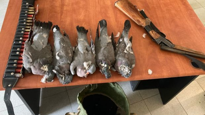 В Агсуинском районе задержали браконьеров