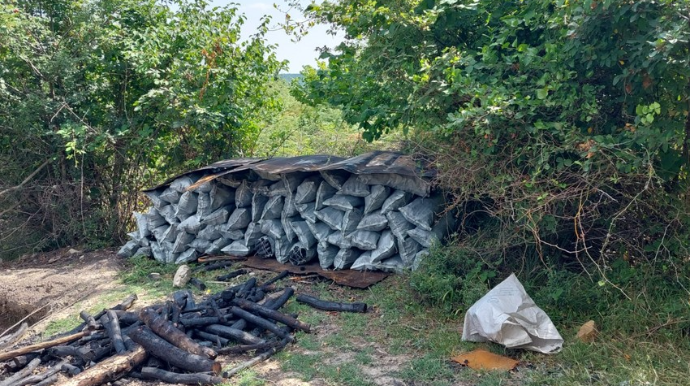 İsmayıllıda qanunsuz işlədilən ocaqxana aşkarlanıb  - VİDEO