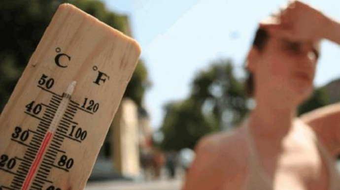 Umayra Tağıyeva:  "Quraq və qızmar hava şəraiti meşə yanğınları ehtimalını artırır"