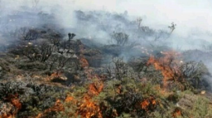 Qubada dağlıq ərazidə yanğın olub