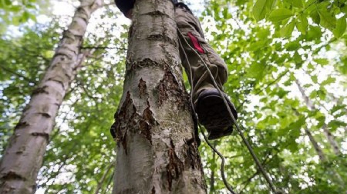 Qaxda kişi qoz ağacından yıxılıb öldü 