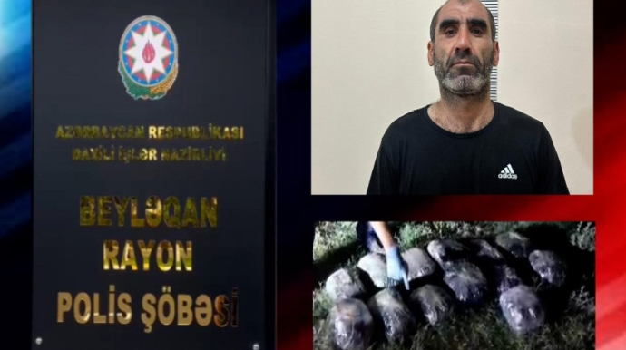 Beyləqanda 16 kiloqram marixuana və həşiş aşkarlandı - VİDEO