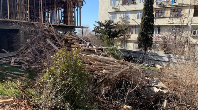 Bir neçə rayonda şirkətlər ağacları qanunsuz kəsib 