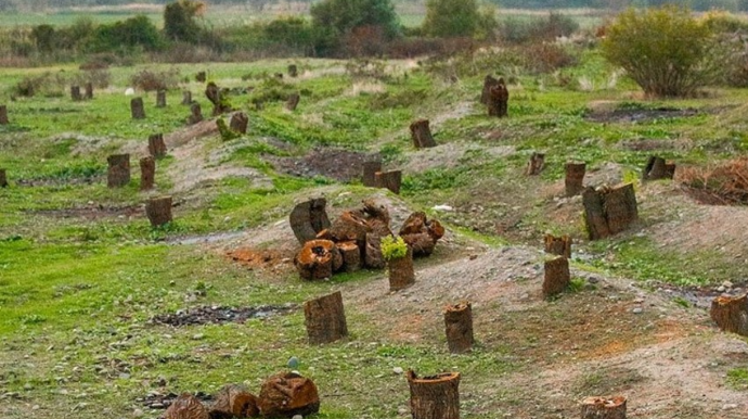 Ermənilər Laçında təbiətə 1 milyon 511 min manat ziyan vurub, cinayət işi açılıb